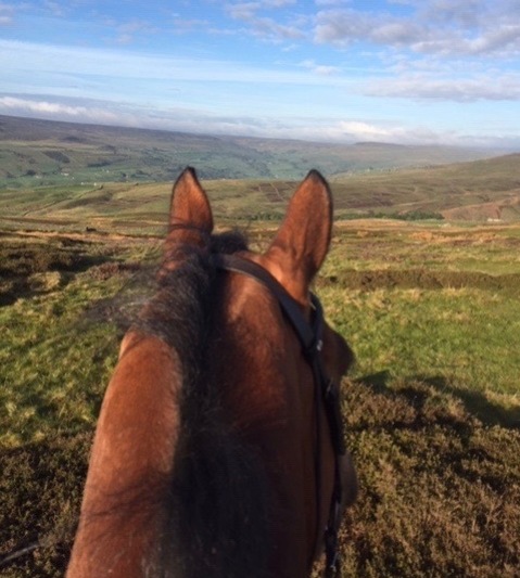 Admiring the view of the moor